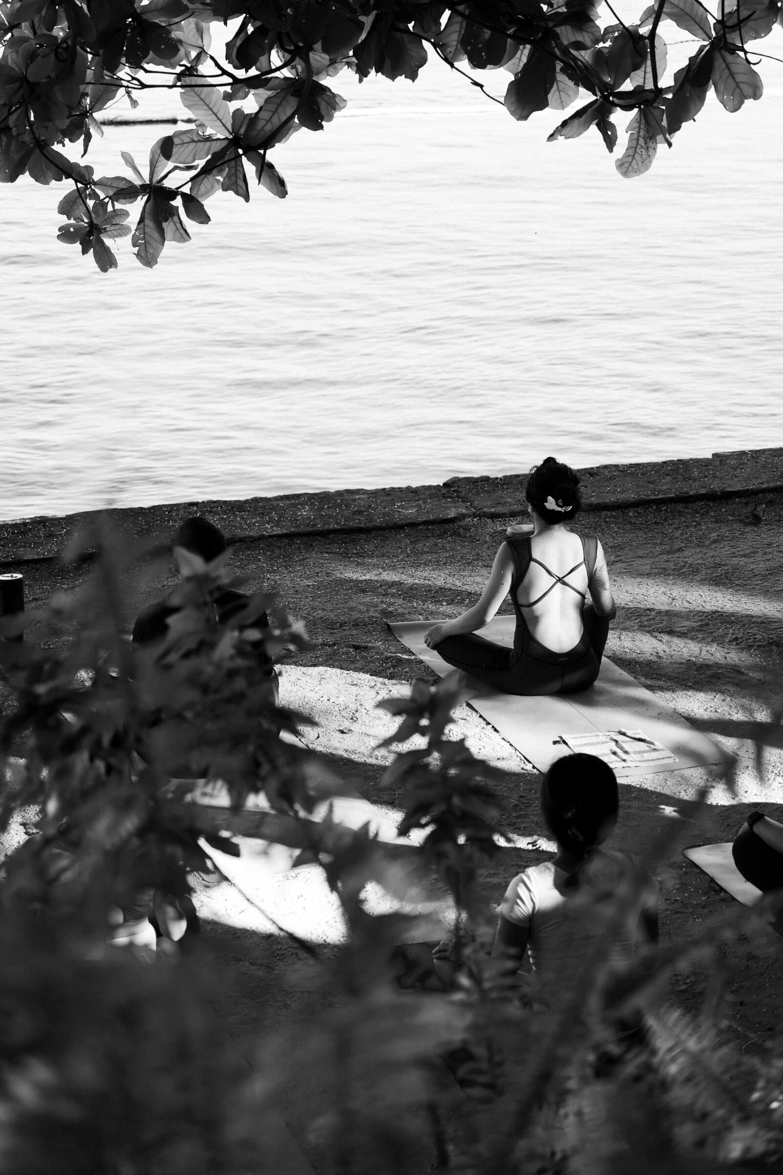 Seaside meditation framed by leaves, black and white