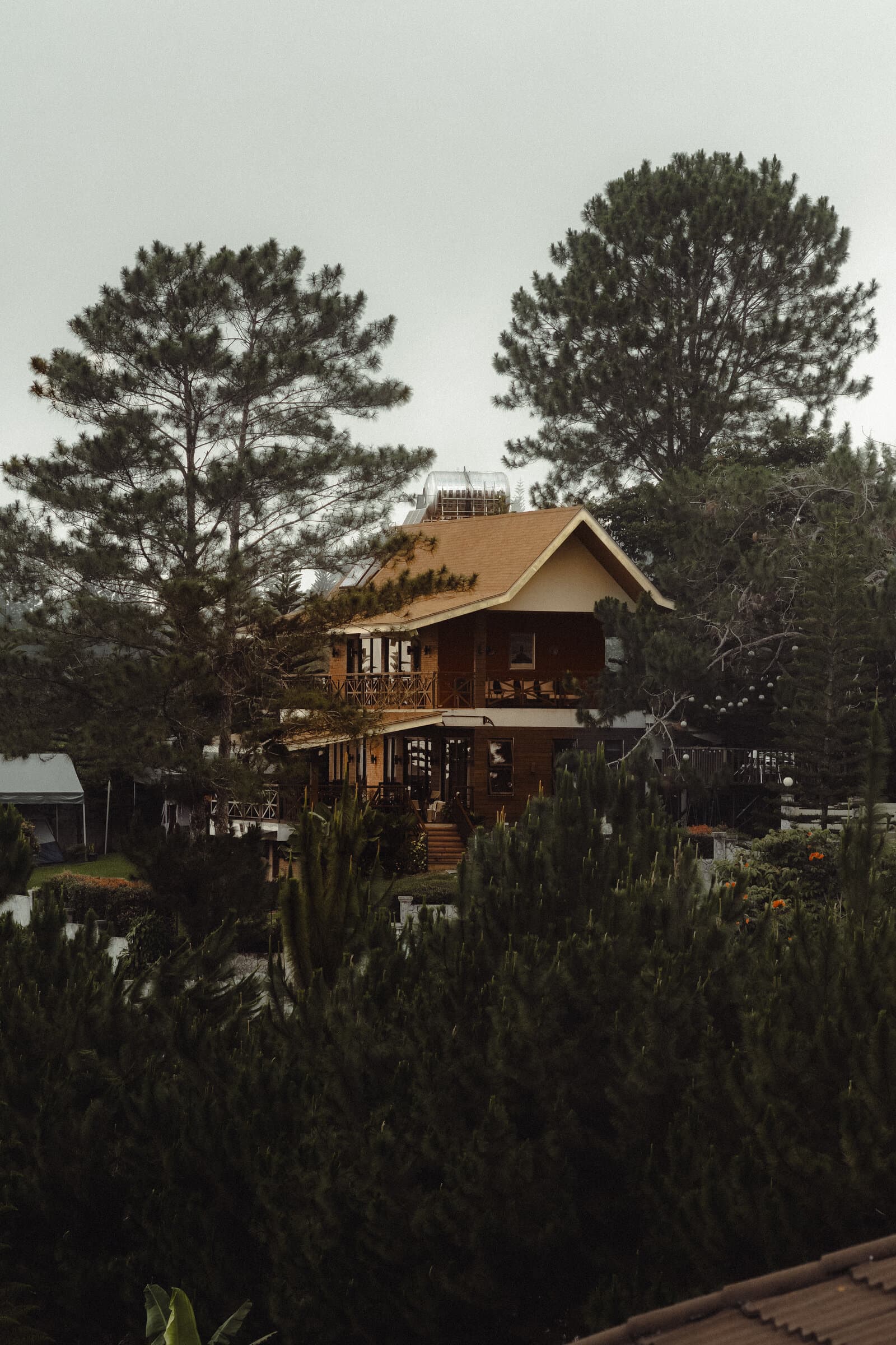 Cabin among pines in evening light